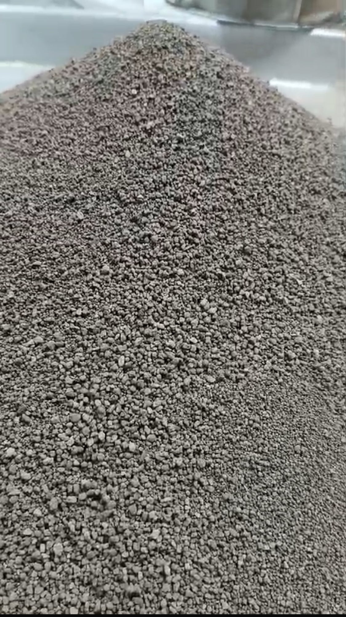 Pure Raw Criollo Cacao Powder