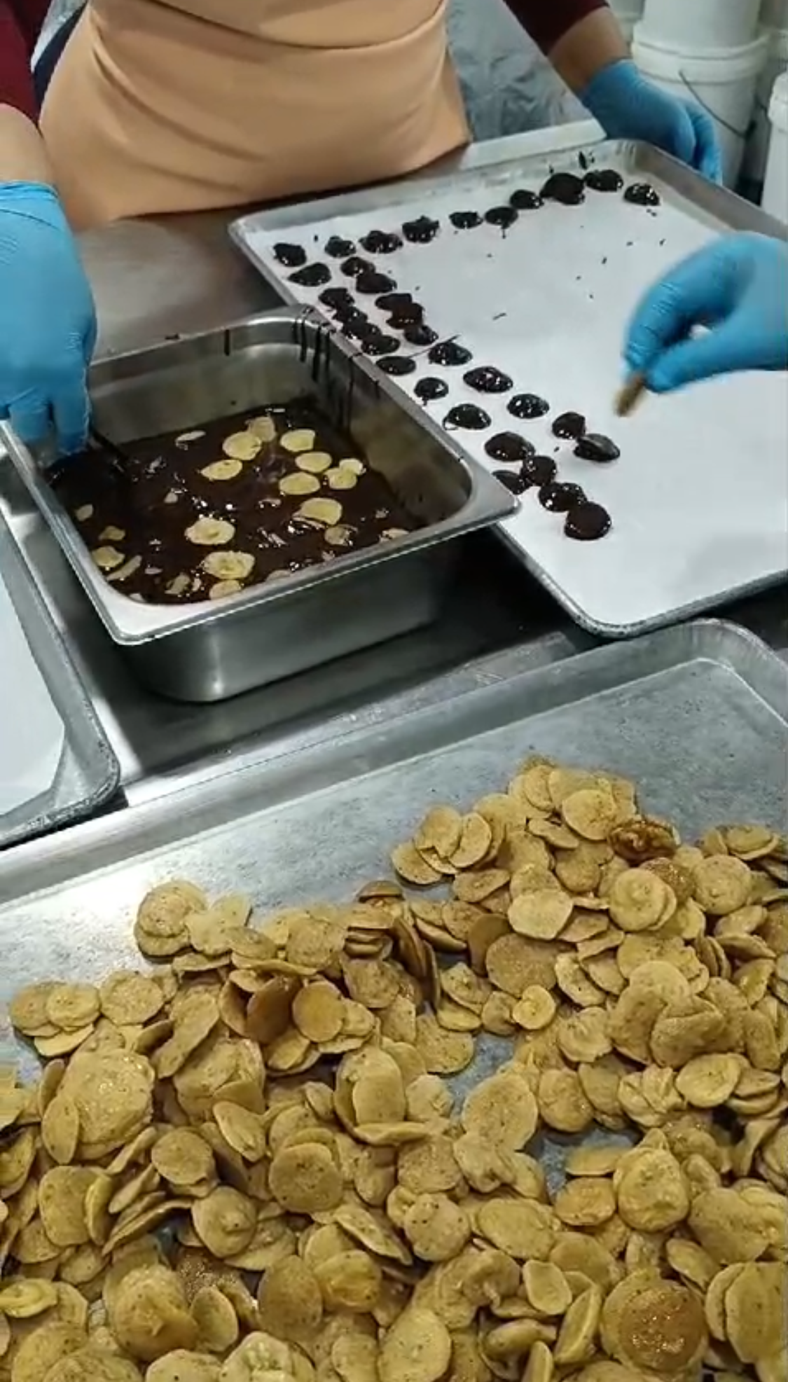 Banana Bites - Sun Dried Sliced Banana Dipped in Rare Criollo Cacao