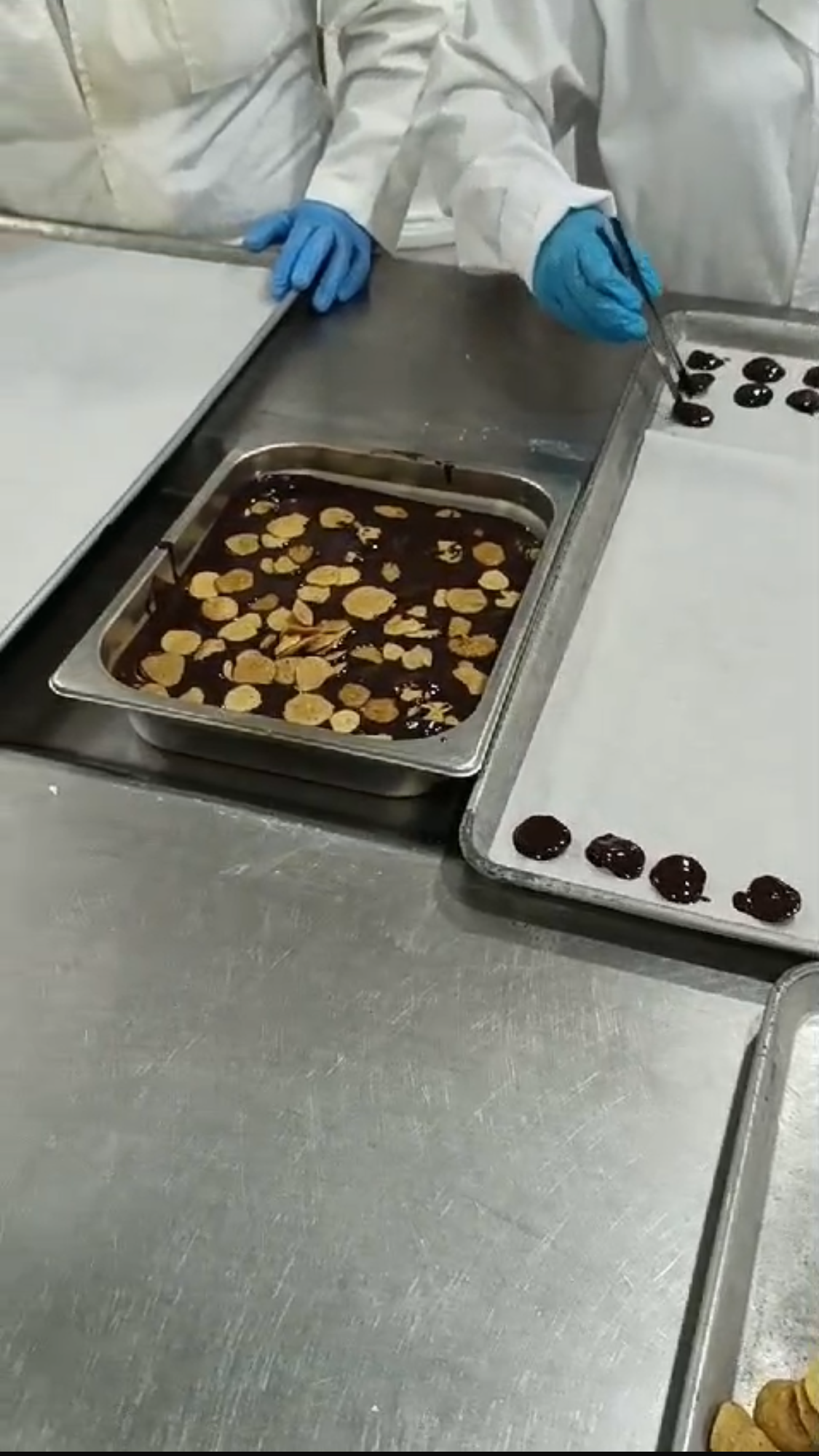 Plantain Bites - Sun Dried Sliced Plantain Dipped in Rare Criollo Cacao
