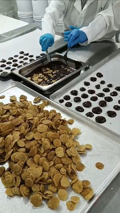 Plantain Bites - Sun Dried Sliced Plantain Dipped in Rare Criollo Cacao